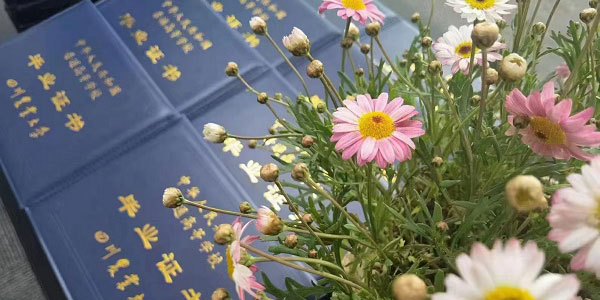 四川农业大学毕业证书